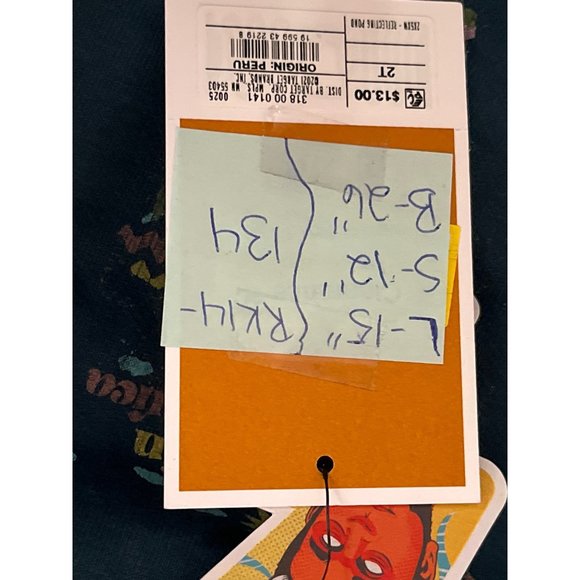 Latino Heritage Month CHILDS Gender Inclusive Latin America Hooded Sweatshirt SI - Picture 5 of 8